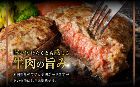 神内和牛あか 100%ビーフハンバーグ 10枚入り（2枚入り×5パック）惣菜 ハンバーグ 100％ 牛肉100％ 冷凍 北海道 浦臼町