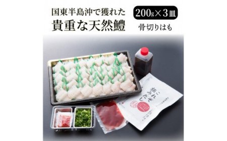 国東海鮮おススメ2種のしゃぶしゃぶ（天然鯛＆はも）・通 _29011B