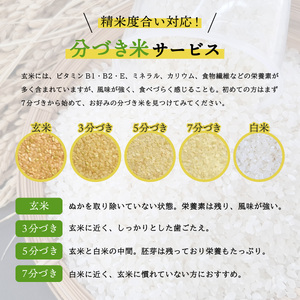 こしひかり 玄米時重量 5kg×6回 6ヶ月連続 定期便 玄米時重量30kg 分づき米 対応可 真空パック コシヒカリ 米 簡易梱包 エコ梱包 分つき米 分付き米 ぶづきまい 白米 七分づき 7分づき 五分づき 5分づき 三分づき 3分づき 玄米