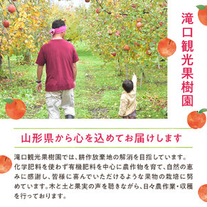 ねっづぐすぼた100％ジュースセット 滝口観光果樹園提供 hi030-050　（果汁100％ ストレートジュース 詰め合わせ フルーツ 果物 りんご もも  ぶどう ラ・フランス 産地直送 山形 お取り寄せ 送料無料 山形県 東根市）