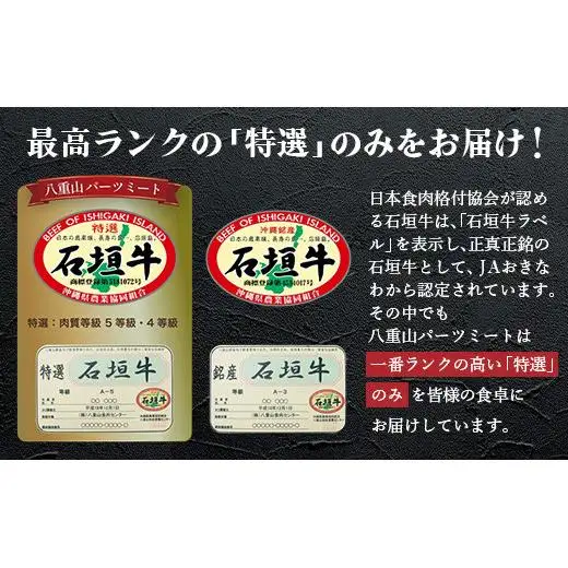 石垣牛100% ハンバーグ 100g×6個