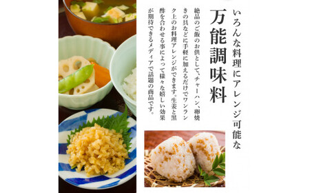 減塩味付け極しょうが110g×10袋 