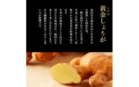 【高知県産】黄金しょうが 2kg　