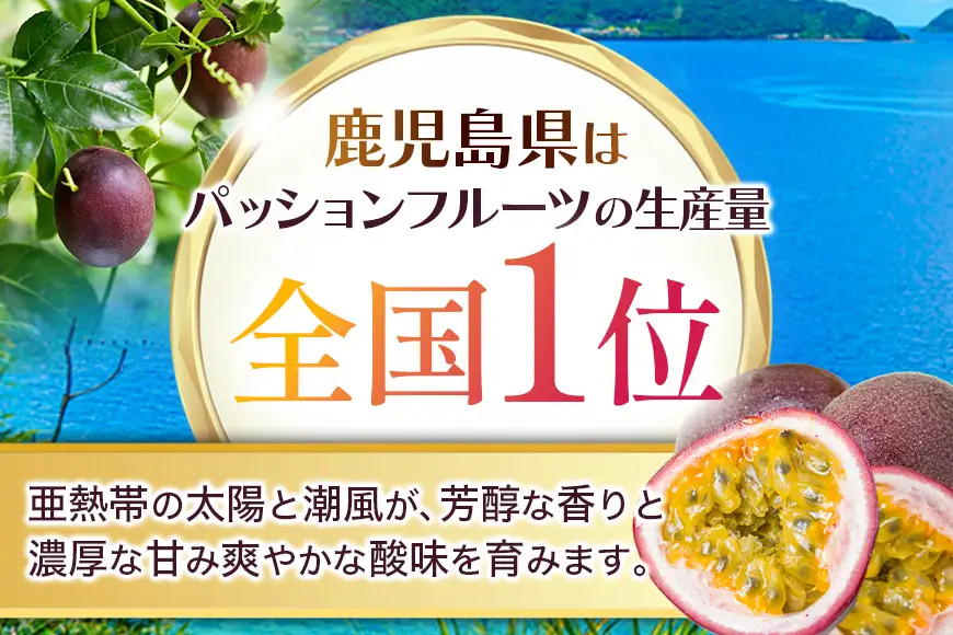 【 2026年 先行予約 】《 奄美大島産 パッションフルーツ 》 贈答用 化粧箱 入り1kg（12玉入り） A145-005 奄美大島産パッションフルーツ フルーツ 果物 トロピカルフルーツ 先行受付 事前予約 事前受付 受付 予約 限定 甘い フラスコ ふるさと納税 奄美市 おすすめ ランキング プレゼント ギフト