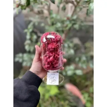 【赤系】天球bottle flowers　Lsize_花・観葉植物 造花・プリザーブドフラワー 花 _【1308096】