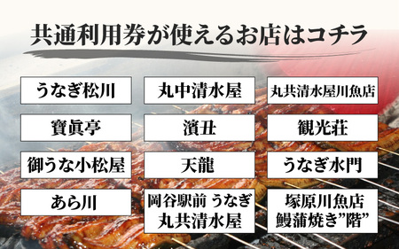 「うなぎのまち岡谷」の会 食事券 共通利用券12,000円分