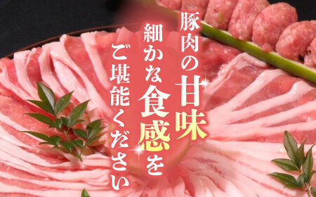 【3回定期便】豚帝 豚しゃぶ セット 1.1kg【KRAZY MEAT(小田畜産)】[ZCP108]