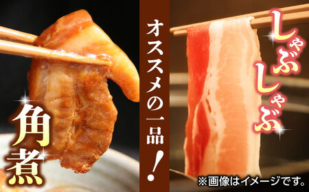 豚帝 豚バラ ブロック 約1kg【KRAZY MEAT(小田畜産)】[ZCP017]