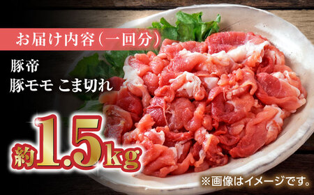 【6回定期便】豚帝 豚モモ こま切れ 切り落とし 1.5kg（300g×5pc）【KRAZY MEAT(小田畜産)】[ZCP080]