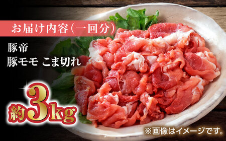 【12回定期便】豚帝 豚モモ こま切れ 切り落とし 3kg（300g×10pc）【KRAZY MEAT(小田畜産)】[ZCP104]