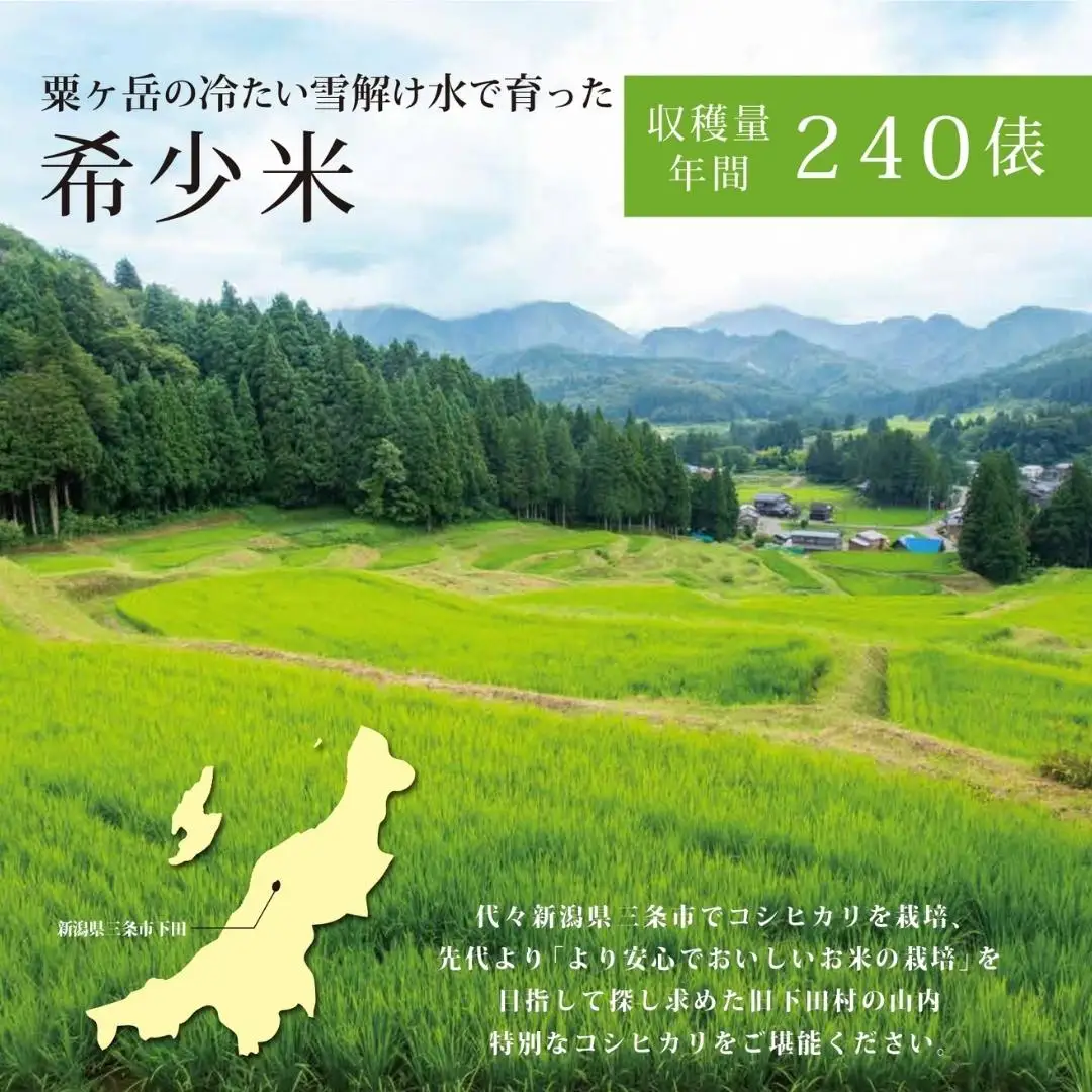 [定期便] 天水田で育った コシヒカリ 5kg ×3か月 オーガニック米 新潟県産 コシヒカリ