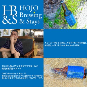 【クラフトビール】 おまかせ5本セット クラフトビール【HJB003】