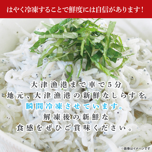 【訳あり】瞬間冷結！刺身用生しらす 200ｇ×5パック【大津港産】【シラス しらす丼 新鮮 魚介 瞬間冷凍 冷凍保存 長期保存 小分け 北茨城市 茨城県】（AA212）