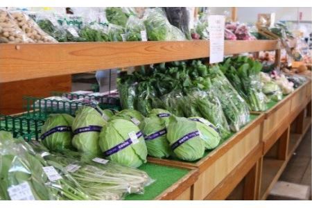 厳選・「おおばん市場」旬の野菜詰め合わせ　【11246-0038】