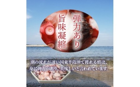 国東半島の本格派漁師めしが作れる！たこ飯の素（お米12合分）・通 _29242A