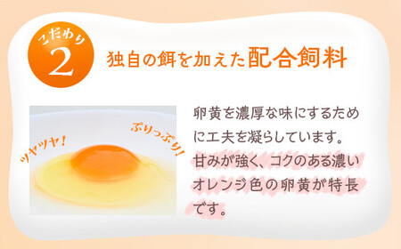 小久保ファーム　濃厚卵黄　産みたてたまご　赤玉50個入り（M玉） _EI02
