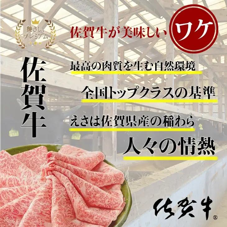 佐賀牛 細切れ肉 1,200g 300g×4パック つるや食品 細切れ 牛肉 C220-013 