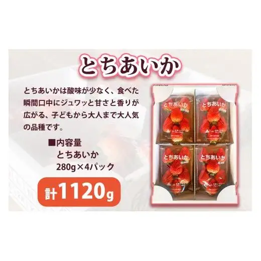 やさしさ仕立ての とちあいか 280g×4P 【2027年先行予約】 栃木県 矢板市