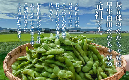 数量限定【令和8年産先行予約】 白山だだちゃ豆　1.5kg（500g × 3袋） + 訳あり200g　鶴岡市白山産　長五郎