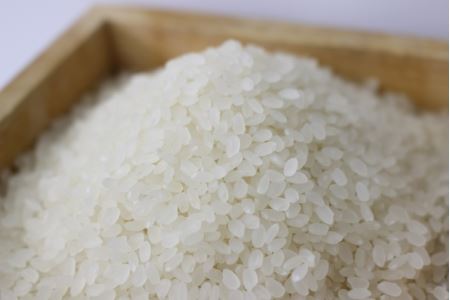 【7年産】近江米 コシヒカリ 白米 5kg 【V011W1】こしひかり 近江米 お米