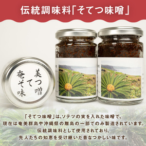 沖永良部島の伝統的な発酵調味料「奄美そてつ味噌130g」3個セット W009-084u 加工品 調味料 味噌