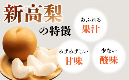 【2026年10月-発送】【あなたを満たす梨の王様】新高梨 約5kg 特大級 梨専門 八木農園 / 梨 なし ナシ / 南島原市 / 贅沢宝庫 [SDZ032]