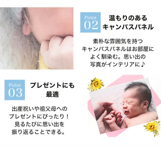 オリジナルフォトパネル(大) 1枚【お気に入りの写真で作る】[0642]