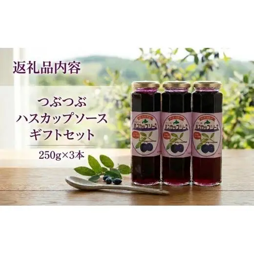 ＜のし付き＞＜北の大地の恵み＞つぶつぶハスカップソース　ギフトセット　250g×3本