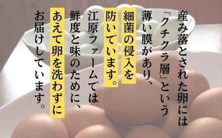 【定期便6か月】江原ファーム　地養卵＆アローカナハーフセット（30個） _AG20