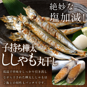 子持ち樺太ししゃも丸干し (計2.5kg・500g×5袋) 干物 ししゃも シシャモ 丸干し 魚 海鮮 冷凍 大分県 佐伯市【AP83】【(株)ヤマジン】