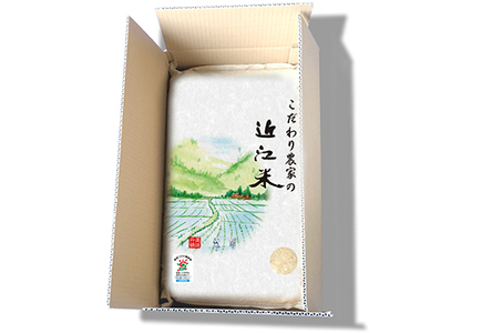  令和7年産 無洗米 白米 コシヒカリ 10kg 【BN01W2】 近江米 環境こだわり米 滋賀県産 単一原料米