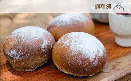 【全12回定期便】特別栽培 小麦 使用 伊都 の みのり( 500g × 2袋 )糸島市 / 天然パン工房楽楽【いとしまごころ】 [AVC068]