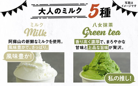【全3回定期便】行列のできる アイスクリーム 屋 ジェラート 10個 （大人味5種×各2個） アイス 食べ比べ ギフト スイーツ プレゼント 糸島 / LoiterMarket ロイターマーケット [AGD020]