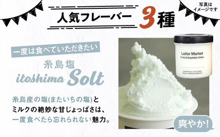 【全6回定期便】行列のできる アイスクリーム 屋 ジェラート  3個  アイス 食べ比べ ギフト スイーツ プレゼント 糸島 / LoiterMarket ロイターマーケット [AGD030]