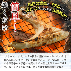 ＜お試し用＞ひもの丸丁の塩ブリカマ(3～4枚入り)×2パック　大分県産 国産 ブリ ぶり 鰤 養殖ブリ 新鮮 鰤かま 冷凍 大分県 佐伯市【DH254】【ネクサ】