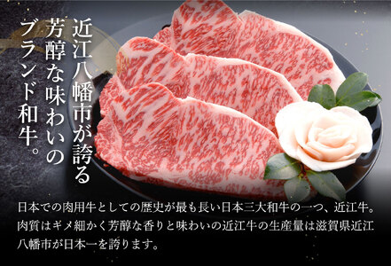 近江牛 サーロインステーキ 600g (200g×3枚) AF04W  ステーキ