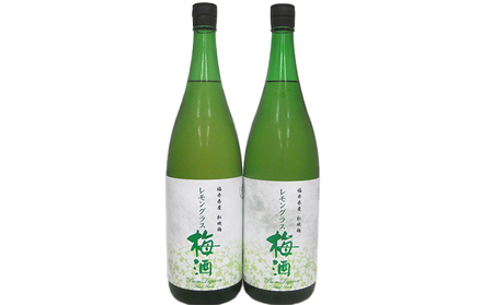 父の日 福井県産 紅映梅を使用した レモングラス梅酒（1800ml）2本セット　 お酒 洋酒 リキュール リキュール類