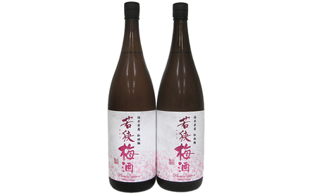 父の日 福井県産 紅映梅を使用した本格梅酒 若狭梅酒（1800ml）2本セット　 お酒 洋酒 リキュール リキュール類