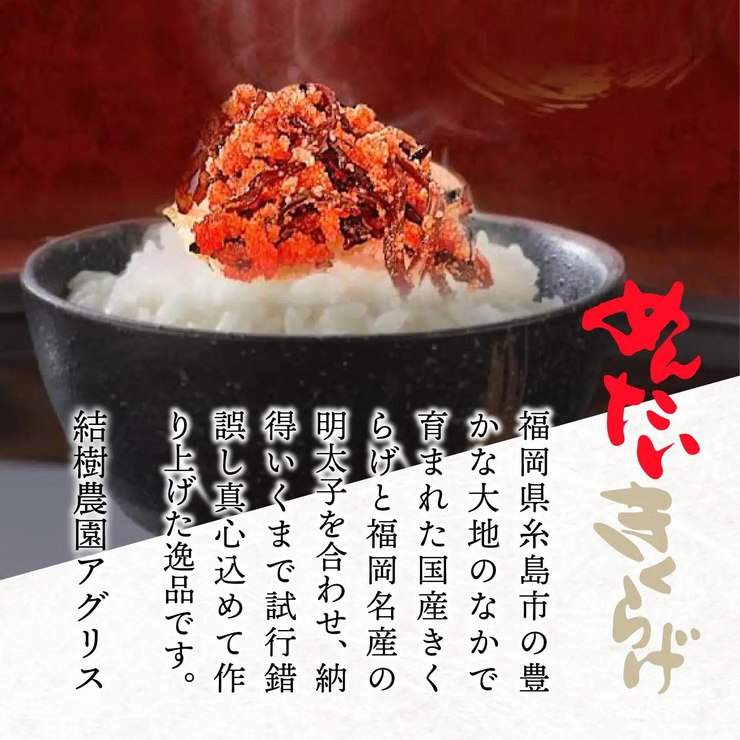 【全12回定期便】結樹農園 アグリス めんたい きくらげ 300g 《糸島》【結樹農園アグリス】きくらげ/国産/明太/明太子 [AAJ007]