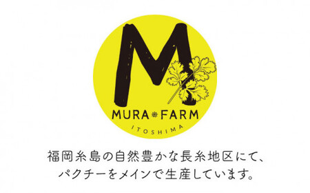 糸島産 パクチー 1kg （100g×10袋）糸島市 / MURA FARM [AFD002]
