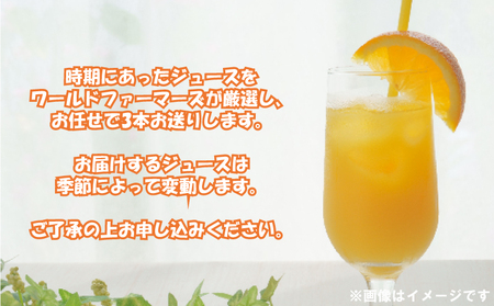 みかんジュース (720ml×3本) │ ストレート みかんジュース WF H012-024016