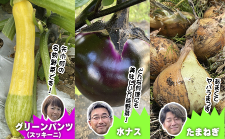 数量限定　矢巾町産　夏野菜セット【10種】7月発送/産地直送 野菜セット 約10品目 新鮮 旬 野菜 やさい きゅうり ナス ピーマン 玉ねぎ りんご じゃがいも トマト ミニトマト キャベツ にんじん 枝豆 ネギ 詰め合わせ お取り寄せ おまかせ おすすめ 岩手県 矢巾町