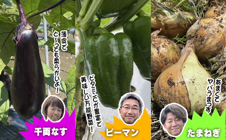 数量限定　矢巾町産　秋野菜セット【10種】9月発送/産地直送 野菜セット 約10品目 新鮮 旬 野菜 やさい きゅうり ナス ピーマン 玉ねぎ りんご じゃがいも トマト ミニトマト キャベツ にんじん 枝豆 ネギ 詰め合わせ お取り寄せ おまかせ おすすめ 岩手県 矢巾町