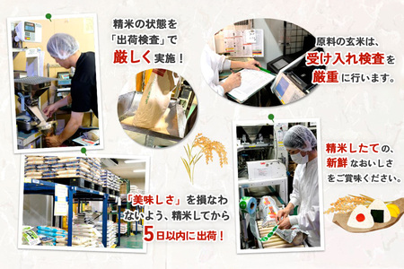 ☆2010年から連続特A受賞☆令和7年産 さがびより 5kg K082001