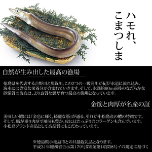 活〆 鱧（はも）切り身【骨切り・カット済】1.2kg