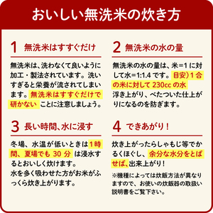 令和7年産 無洗米 ミルキークイーン 5kg | 無洗米 お米