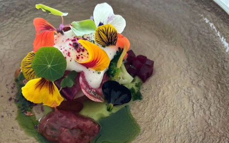 季節のエディブルフラワー100輪おまかせ 桂川町/NOGAMI FARM [ADAU002] 食用 花 食用花