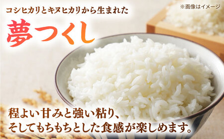  桂川町産 白米 4kg と しょうがの佃煮セット [ADAI001] 米 佃煮