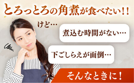 国産 豚角煮 4袋 [ADAE009] 角煮 豚の角煮 小分け 常温