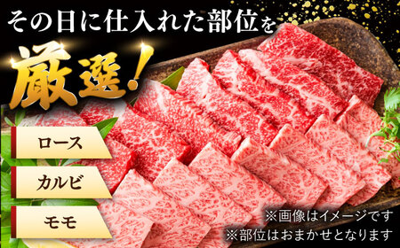 博多和牛 焼肉 用 500g 国産 桂川町/株式会社 MEAT PLUS [ADAQ009] 和牛 焼肉 焼き肉 BBQ 冷凍 牛肉